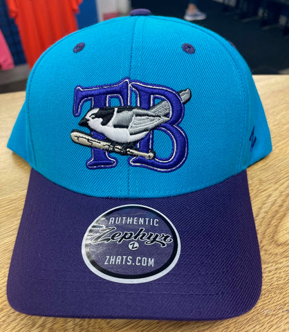 Thunder Bay Whiskey Jacks Teal W/Purple Adjustable Hat