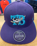 Thunder Bay Whiskey Jacks Official Zephyr Fitted Hat